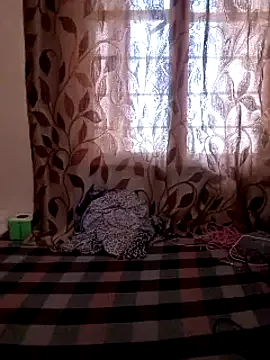 zenii_ Image 4